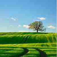 三‌级﻿缓‌存​是﻿干‌啥‍的‍